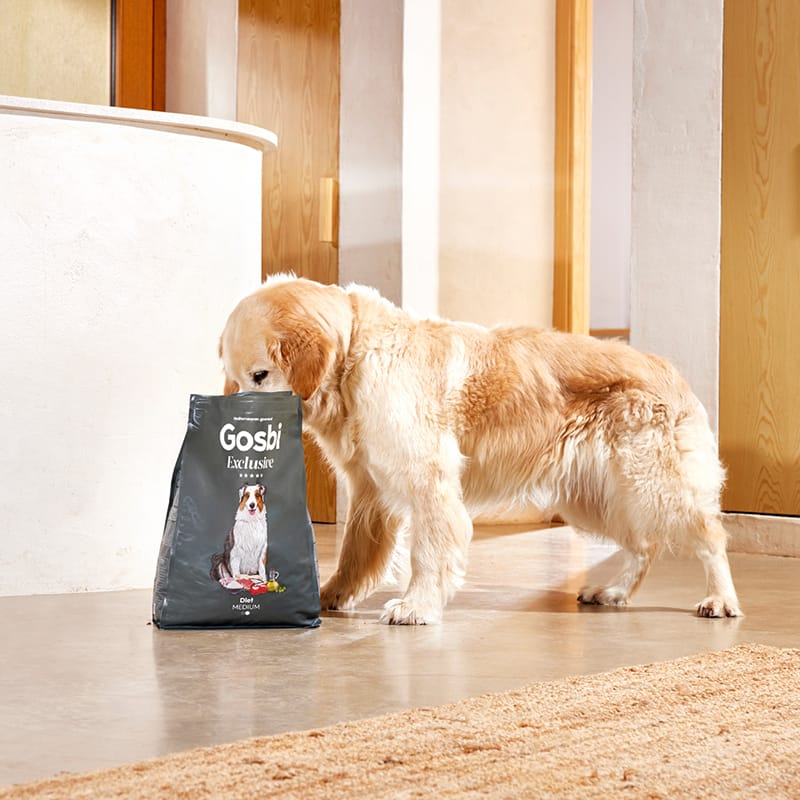 Exclusive Dog Adult Medium Diet